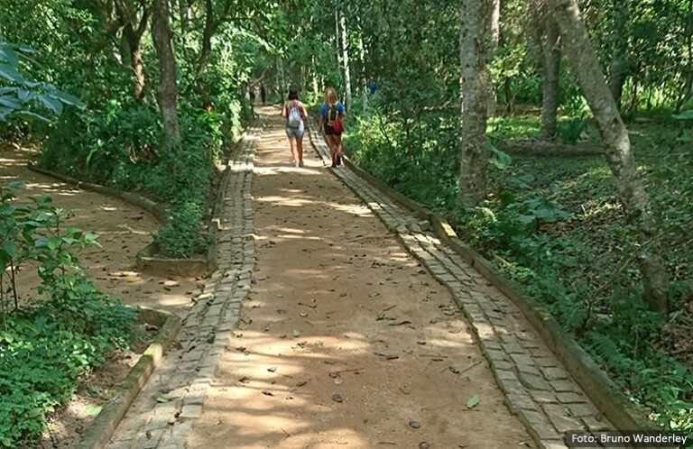 caminho para trilha do mirante do caete parque natural municipal da prainha rj