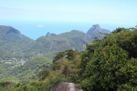 Grupo de turistas é assaltado durante trilha na Floresta da Tijuca