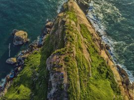 Capa do Pedra da Tartaruga, Parque Estadual da Pedra Branca, Guaratiba - RJ