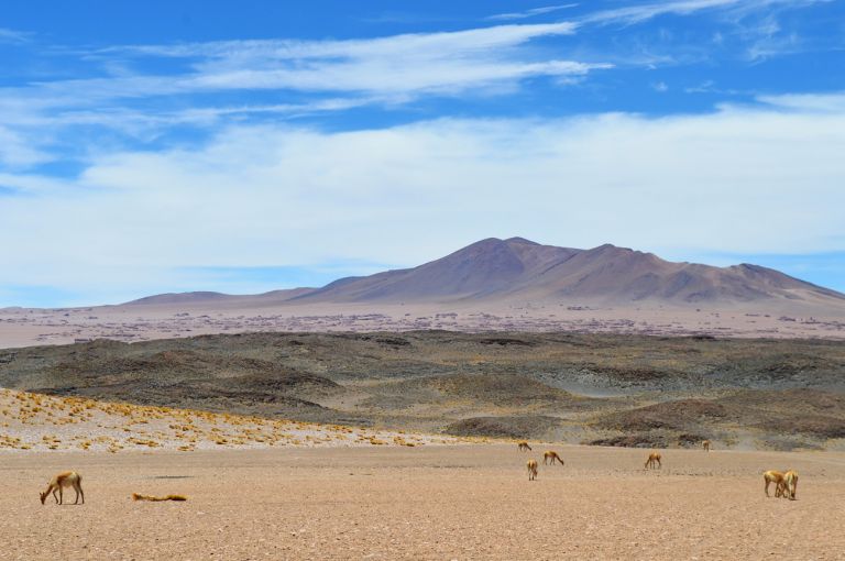 A imagem contém: Salar de Tara, São Pedro do Atacama, Chile