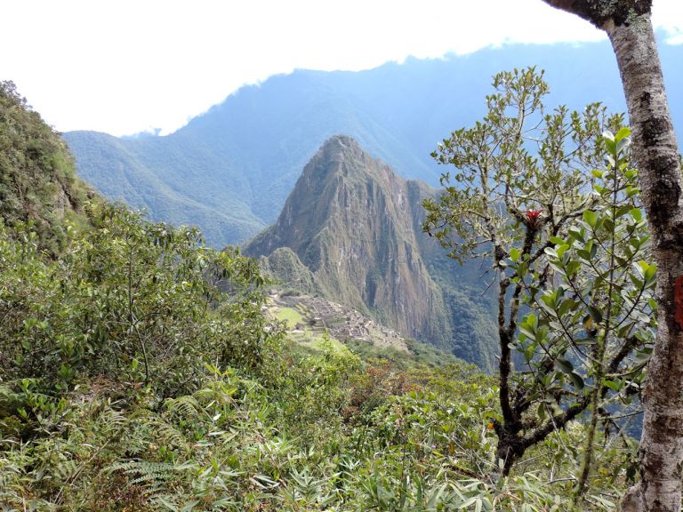 A imagem contém: Trilha Montanha de Machu Picchu, Peru por Bruno Batista Suehara