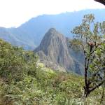 Trilha Montanha de Machu Picchu, Peru por Bruno Batista Suehara