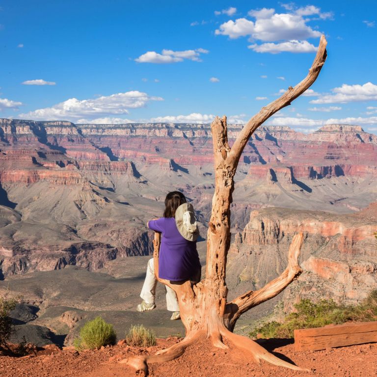 A imagem contém: Kaibab Sul, Grand Canyon, Arizona, Estados Unidos