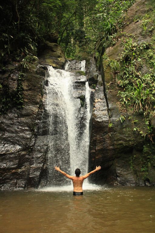 A imagem contém: Cachoeira do Chuveiro, Horto - RJ