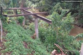 Polícia identifica construção irregular dentro de área de preservação em Petrópolis, no RJ