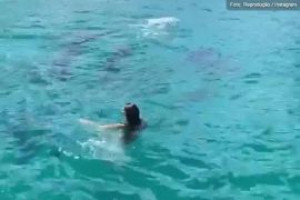Blogueira é multada por mergulho irregular com golfinhos em Fernando de Noronha