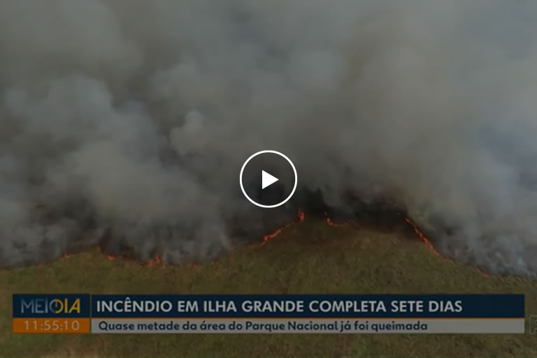 Incêndio atinge quase metade do Parque Nacional de Ilha Grande