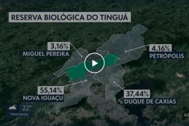 Reserva biológica do Tinguá, que abastece a Zona Norte, pode virar Parque Nacional