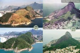 Veja resultado de reflorestamento de morros do Rio