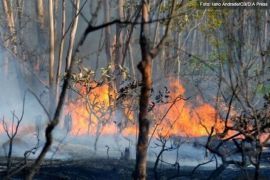 Autor de incêndio no Parque Nacional é multado em R$ 12,3 milhões