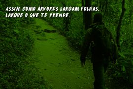 Já percebeu como o peso da mochila se multiplica a cada passo em uma trilha?