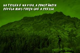 Constância é força: você tem honrado seus próprios passos, mesmo os mais lentos?