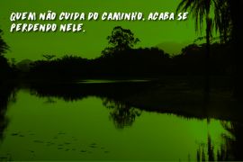 5 de Junho: Dia Mundial do Meio Ambiente e da Ecologia