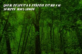 Deixe a montanha te ensinar