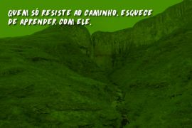 Você não nasceu pra apenas sobreviver