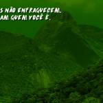 Quando um simples arranhão muda o jeito de caminhar