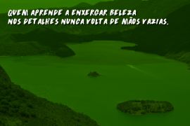 Leve apenas os sorrisos que encontrou pelo caminho