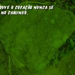 Quando o coração se torna o mapa da caminhada