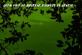 O valor do silêncio que nenhuma câmera alcança