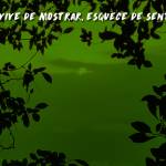 O valor do silêncio que nenhuma câmera alcança